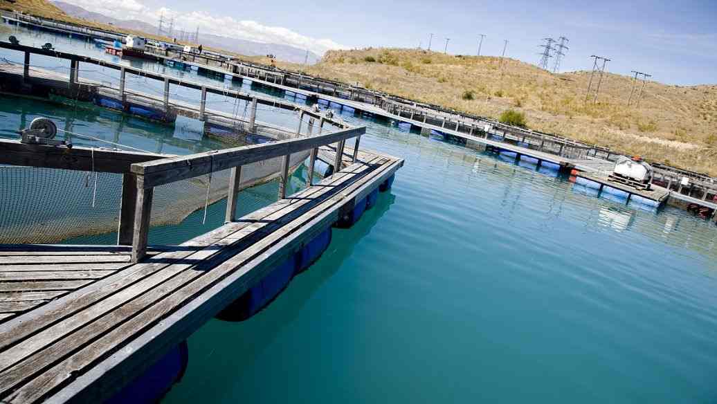 化工污水處理設備污水處理流程(工業污水處理設備) 化工污水處理設備污水處理流程(工業污水處理設備)